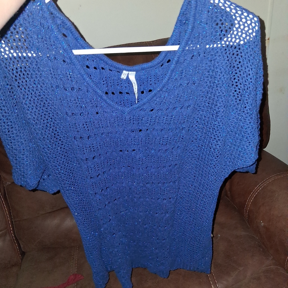 Studio Y Women's Blue V-Neck Sweater